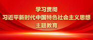 打逼网站学习贯彻习近平新时代中国特色社会主义思想主题教育_fororder_ad-371X160(2)